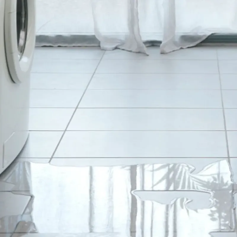 Appliance Leak Cleanup in Brothertown, WI