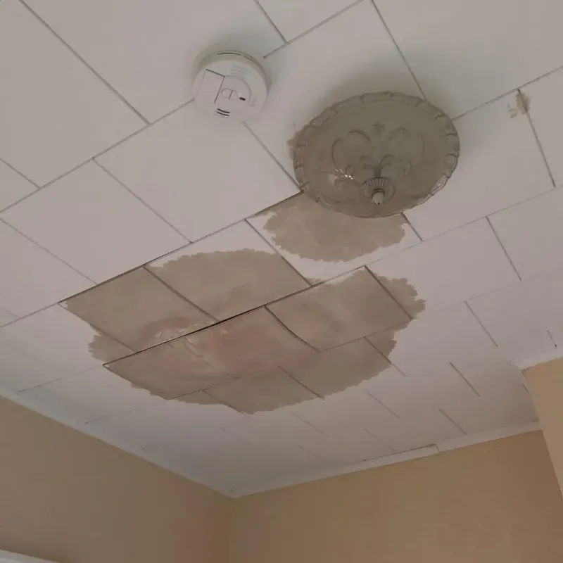Ceiling Water Damage Repair in Brothertown, WI