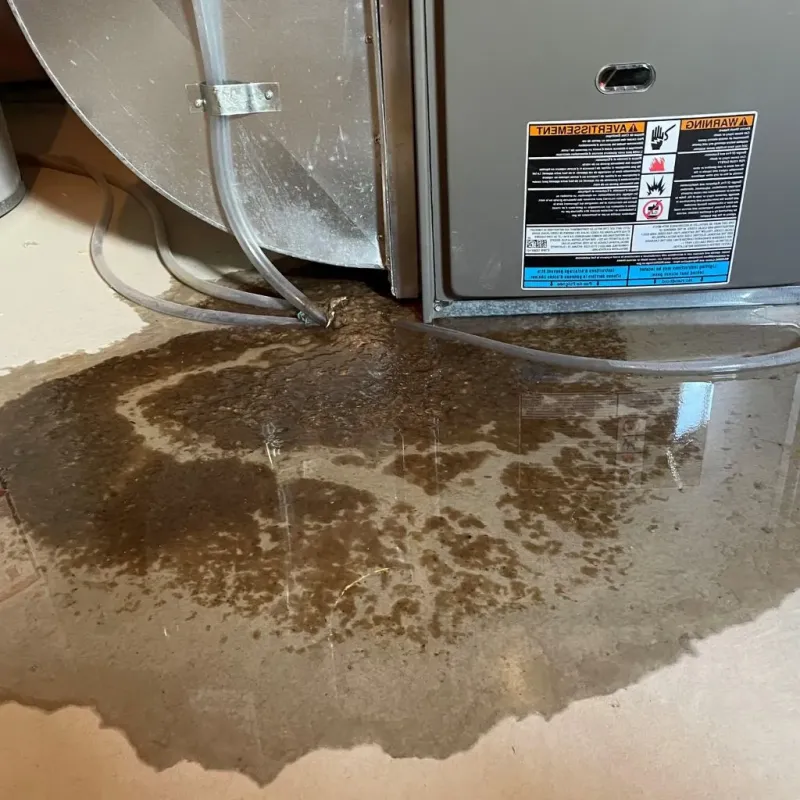 Pipe Burst and Leak Restoration in Brothertown, WI