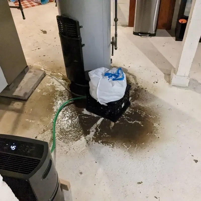 Sewage Backup Cleanup Service in Brothertown, WI